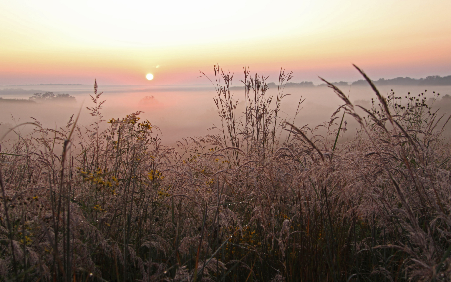 Missouri Prairie Foundation